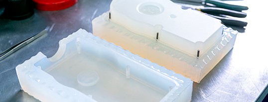 A clean mold.